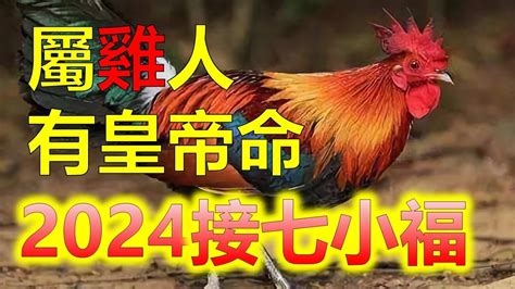 屬雞男|屬雞出生年份/幾多歲？屬雞性格特徵+生肖配對+2024。